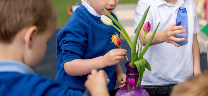 Activities at Little Cherubs Nursery